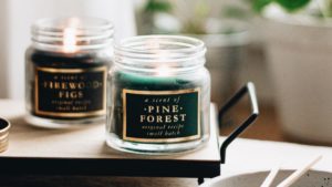 The Best Cruelty-Free Fall Scents for Your Home