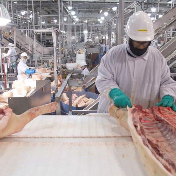 Cargill Shuts Meatpacking Facility After COVID-19 Infects 350 Workers