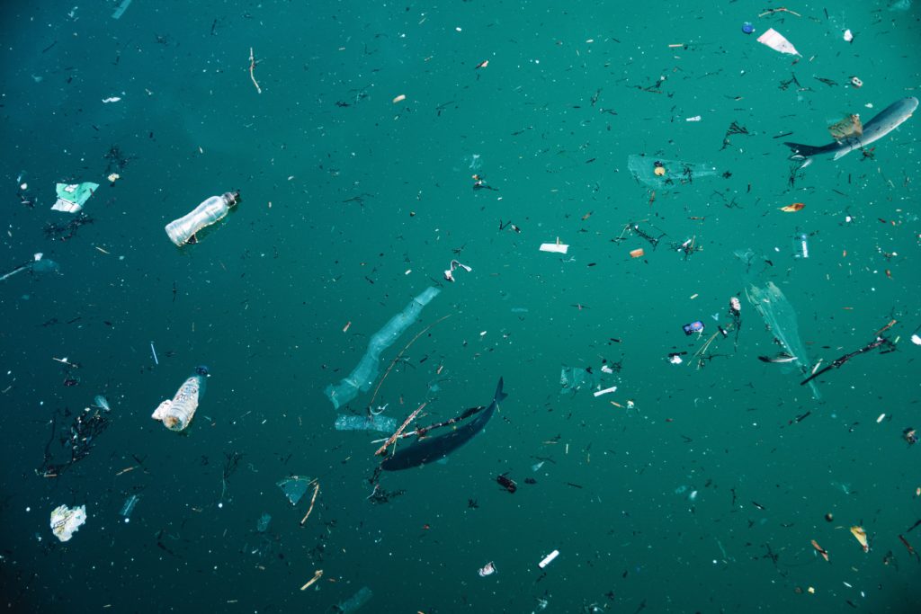 What Are Microplastics and How Did They Get Into Our Food?